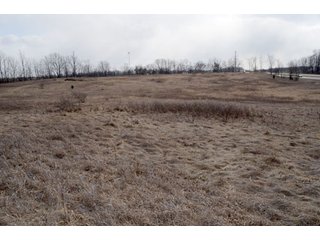 Property photo 51 - 127 Acres Offered in 8 Tracts - Allen & Dekalb County Land
